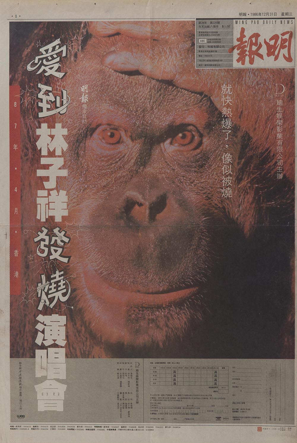 《明报》头版广告，宣传林子祥1987年的演唱会。画面可见红毛猩猩的正面大头照，它的左手按在额头上。左方的白色直书标题引用他的歌曲《爱到发烧》，歌曲的一句歌词则在右方。
