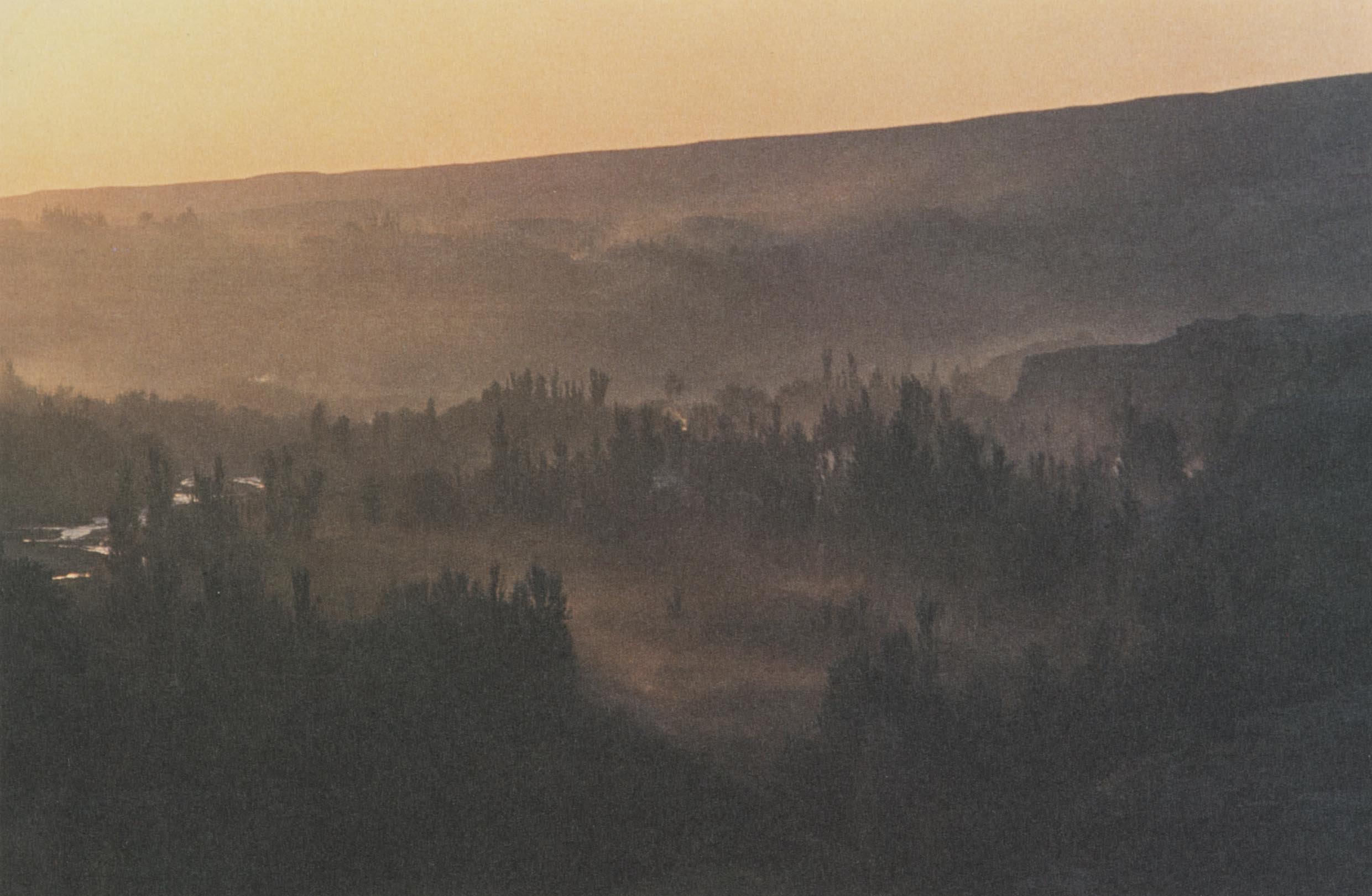 Detail of a square postcard gifted with the Silk Road Tour: Music Collection vinyl album, featuring a morning photograph of the Jiaohe Ruins amidst tree groves. 