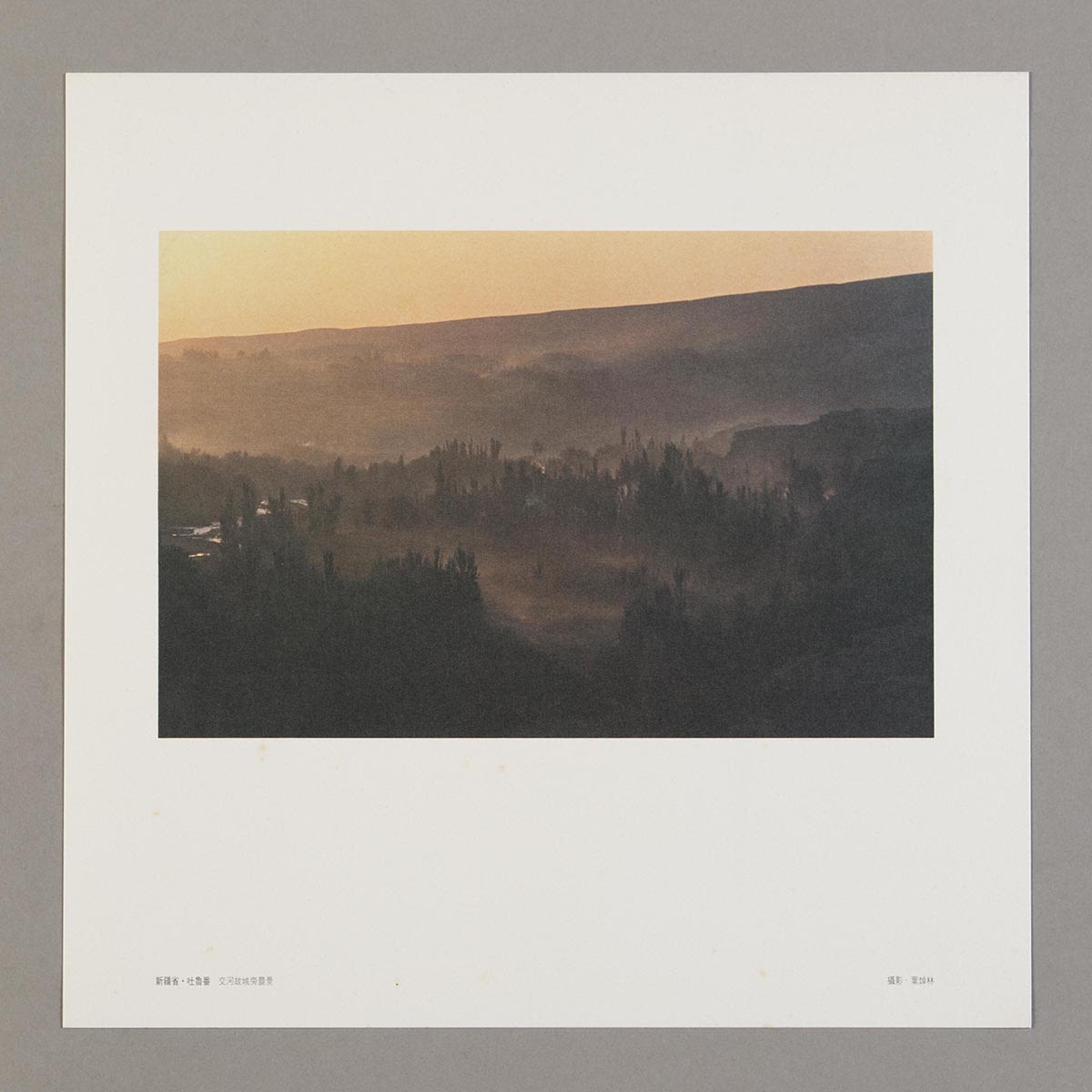 隨《絲綢之路巡禮名曲集》黑膠唱片所附送的正方形明信片。白色邊框內的照片可見樹木林立的交河故城晨景。