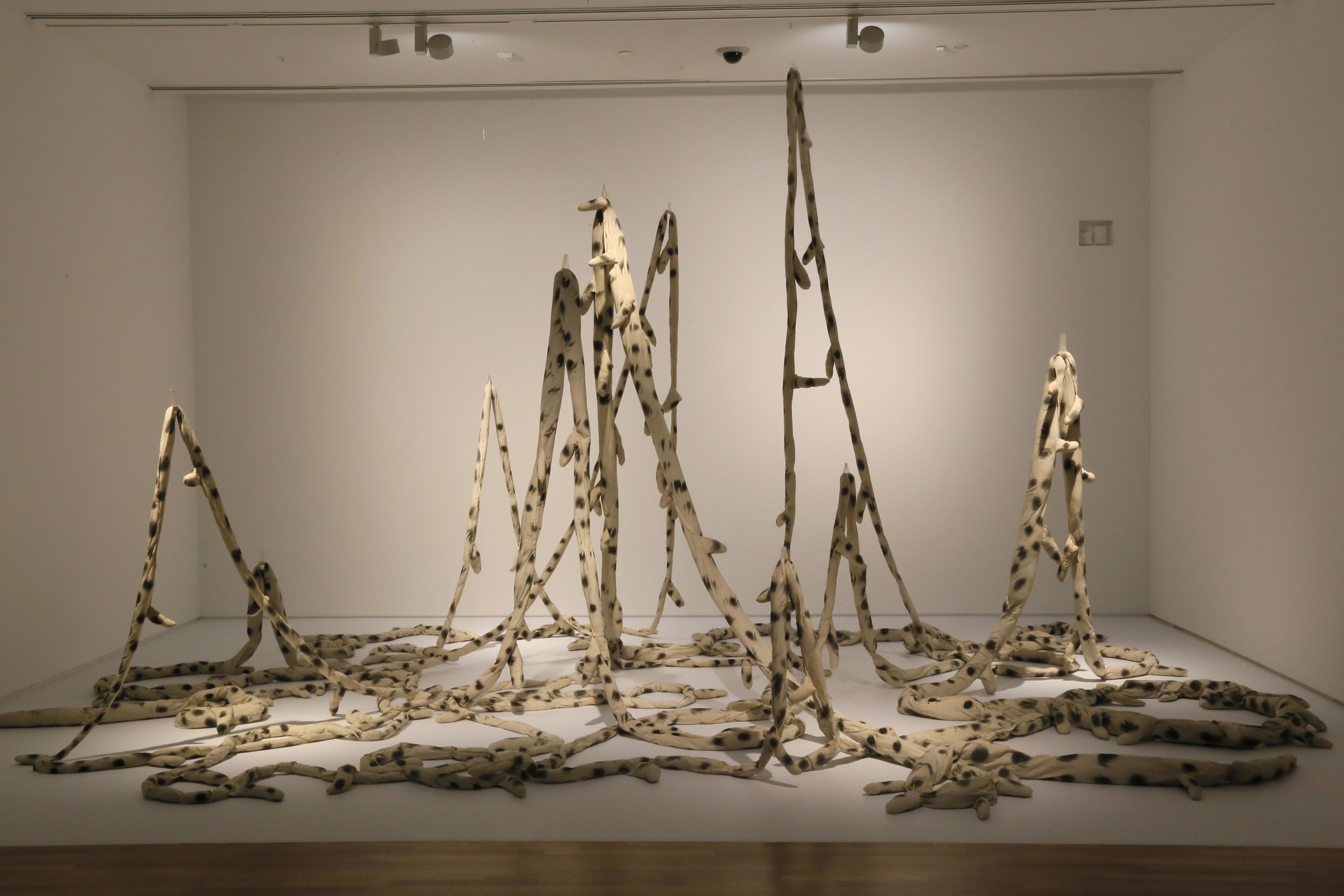 装置艺术作品中，一条细长填充织物从不同高度悬垂下来，并在地板上松散杂乱地堆在一起。