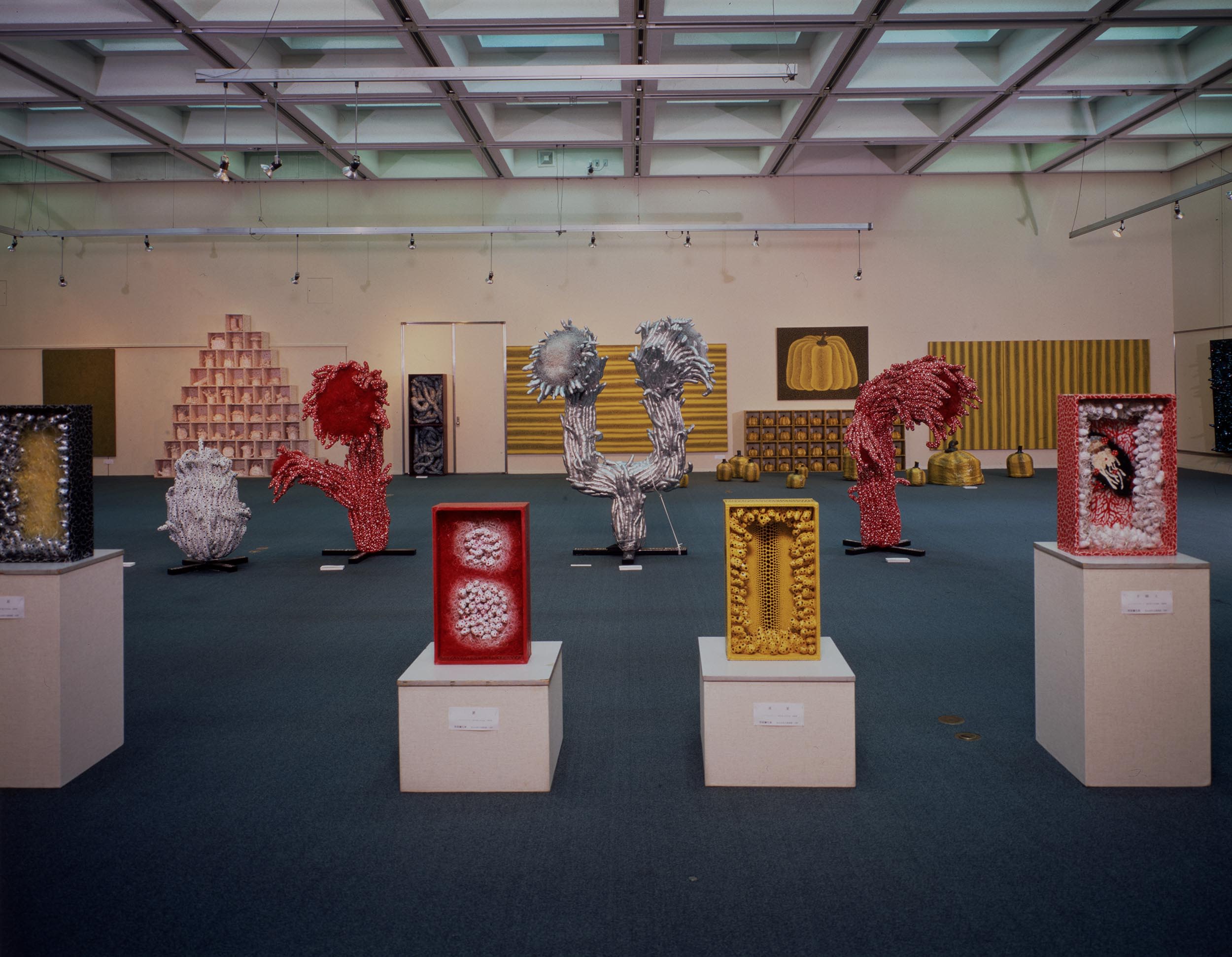 装置作品分成三排雕塑，由前景延伸到背景中。前景中的四件红、黄、黑色箱形雕塑置于底座上，内里雕刻出手指状的细丝。中间一排四件白色和红色雕塑，均被突出状填充物包裹着，状似海葵。最后方可以看到一些大型画作和雕塑。