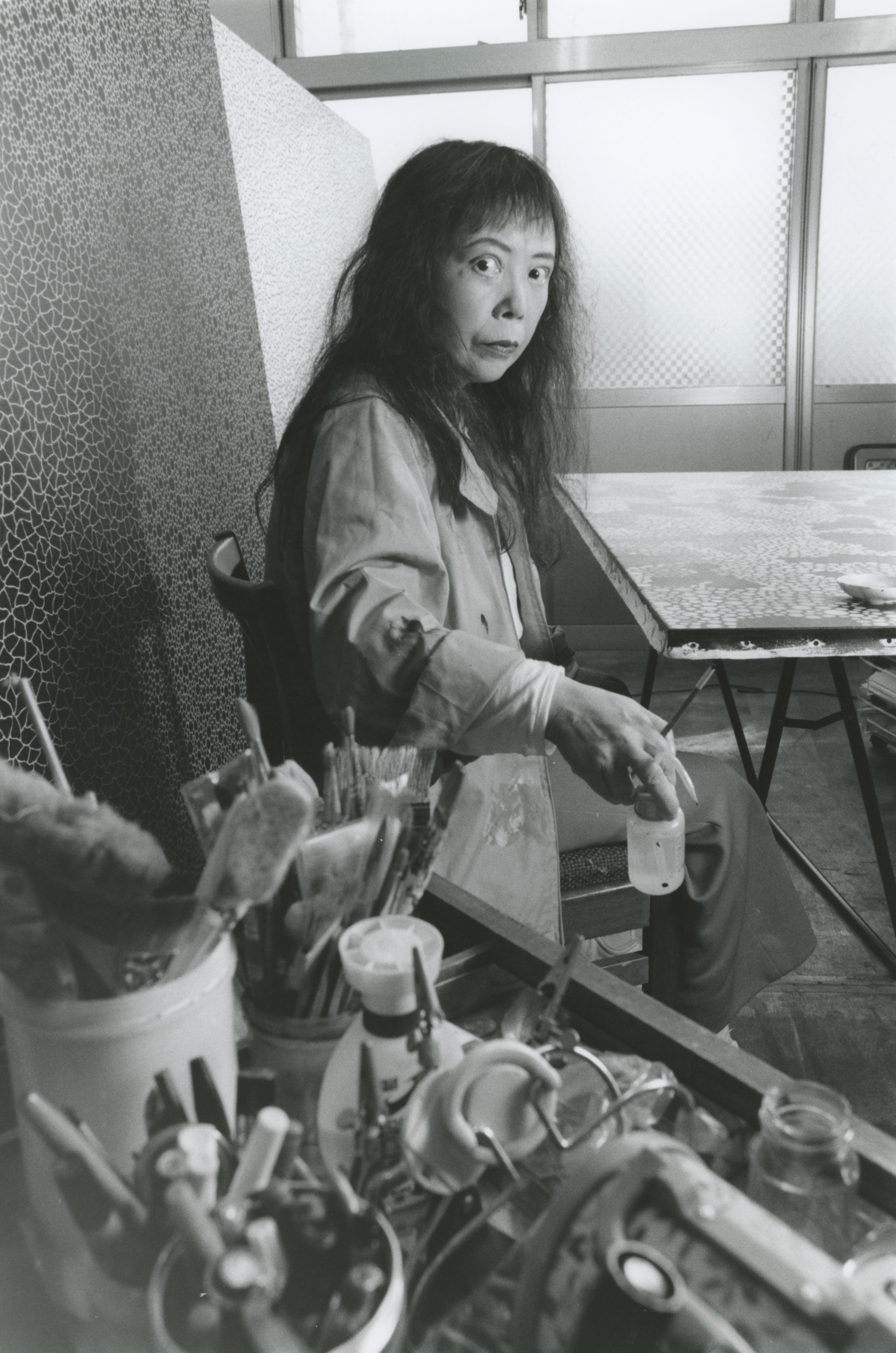 装置作品分成三排雕塑，由前景延伸到背景中。前景中的四件红、黄、黑色箱形雕塑置于底座上，内里雕刻出手指状的细丝。中间一排四件白色和红色雕塑，均被突出状填充物包裹着，状似海葵。最后方可以看到一些大型画作和雕塑。